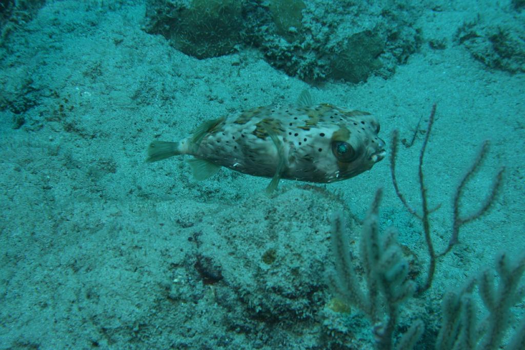 2008-05-19 17-42-24 H.JPG